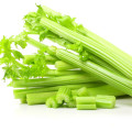 2021 New Crop export Natural Chinese High Quality Cheap Fresh Carrot Green Celery